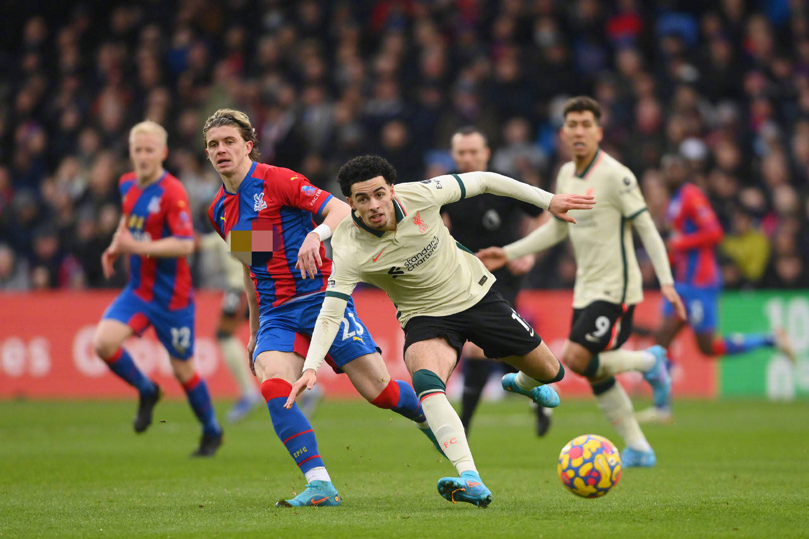 此庞大的粉 此庞大的粉